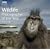 Wildlife Photographer of the Year: Portfolio 18