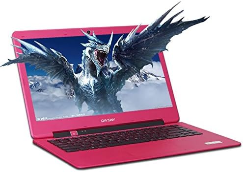 Daysky-DK90-X9S 14-inch thin and light notebook computer appearance four nuclear 4G memory 500G hard drive + 120G SSD-red