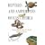 Reptiles and Amphibians of East Africa (Princeton Pocket Guides)