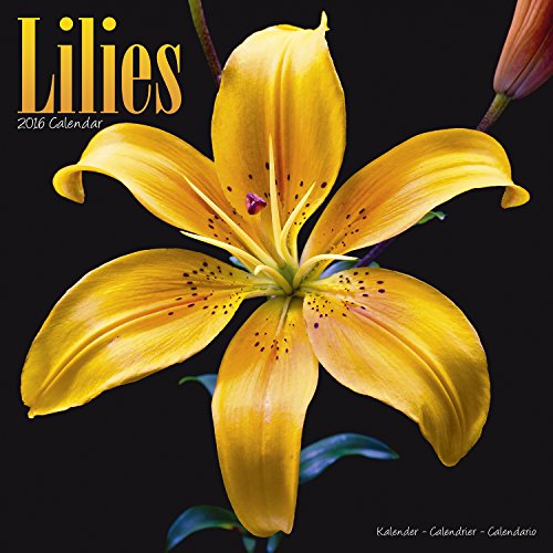 Lilies Calendar - 2016 Wall calendars - Garden Calendars - Flower Calendar - Monthly Wall Calendar by Avonside