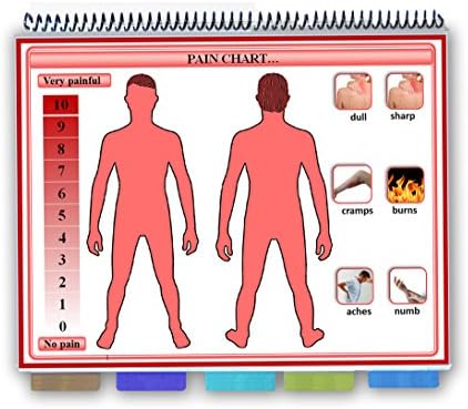 (FREE SHIPPING) Pictures & Words Communication Boards Flip-Chart for stroke, ALS, dementia, Alzheimer's, expressive aphasia, Lou Gehrig's Disease, speech impaired, talking disabilities