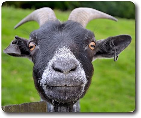 Online Designs Black funny goat Square mouse pad keyboard tray 9 * 7.5inch