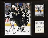 NHL Branden Morrow Dallas Stars Player Plaque