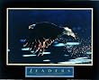 Leaders-Bald Eagle, Motivational Poster
