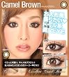 【1年度つきカラコン】セレブリティアイズ　エクセレント　キャメルブラウン×1枚 POWER -1.50