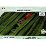 Thompson & Morgan 4742 Organic Bean Runner Scarlet Emperor Double Seed Packet