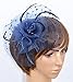 Womens Big Flower Mesh Feather on Hair Clip Headwear Fascinator (C-Navy Blue)