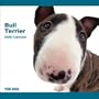 2009 Bull Terrier ARTLIST Square Wall Calendar