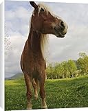 Canvas Prints of Horses grazing from Danita Delimont