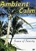 Ambient Calm DVD - The Ultimate Relaxation DVD