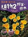 植物〈2〉野草・樹木―タンポポ・スミレ・サクラなど (教科書に出てくる生きもの観察図鑑)