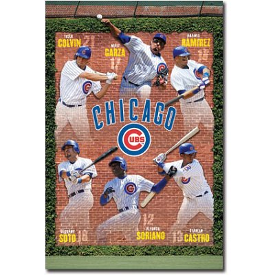 (22x34) Chicago Cubs 2011 Colvin Garza Ramirez Castro Soriano Soto Sports Poster Print