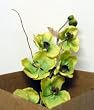 Green Phaelanopsis Faux Orchid in Olive Jar Clay Pot (30 inch)
