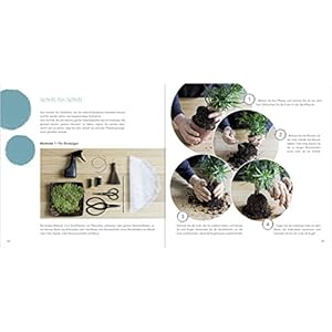 Dekorieren mit Mooskugeln: Coole Pflanz- und Deko-Ideen mit der Kokedama-Technik.