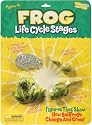 Insect Lore Frog Life Cycle Stages