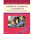 Ferrets, Rabbits, and Rodents: Clinical Medicine and Surgery