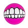 Wolters ROGZ Grinz-Ball zum Bef�llen pink Snackball f�r Hunde 6,5cm Hundeball Ball zum bef�llen Hundespielzeug