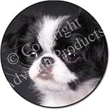 JAPANESE CHIN DOG Fridge Magenet