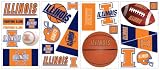 RoomMates RMK1223SCS University of Illinois Peel & Stick Appliques