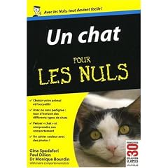 Un chat pour les Nuls