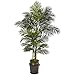 Nearly Natural 9768 7? Golden Cane Artificial Palm Decorative Planter Silk Trees Green