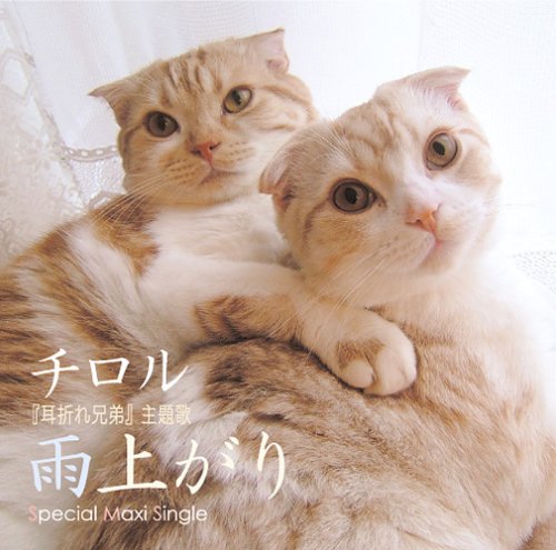 Cover image : 『耳折れ兄弟』主題歌「雨上がり」スペシャル・マキシシングル