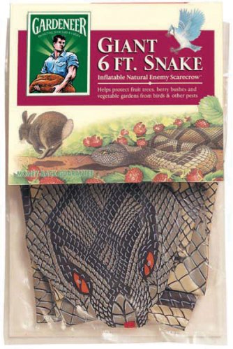 Dalen Inflatable Snake #NESR