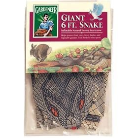 Dalen NESR Inflatable Snake 51o6vNUqcPL. SL500 AA280 Dalen NESR Inflatable Snake