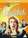 Bewitched - Season 5 (Complete) [DVD] [1968]