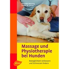 Massage und Physiotherapie bei Hunden