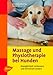 Massage und Physiotherapie bei Hunden: Beweglichkeit verbessern und Schmerzen lindern