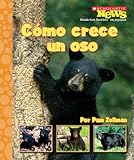 Como crece un oso / A Bear Cub Grows Up