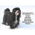 T�rschild FunSchild SE699 DIN A4 laminiert ACHTUNG Hund Tibet Terrier