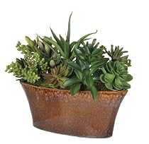 Big Sale House of Silk Flowers Artificial Succulent Garden (A) in Oval Ceramic