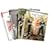 Nip/Tuck: The Complete Seasons 1-4