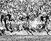 Fuzzy Thurston, Forrest Gregg and Paul Hornung Green Bay Packers Glossy 8x10 Photo