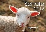Schafe 2012