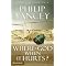 Encouraging Insights about God from Philip Yancey