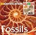 Book Fossils (Identification Guides)