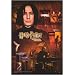 Harry Potter And The Chamber Of Secrets - Movie Poster (Professor Snape / Alan Rickman) (Size: 27" x 40")