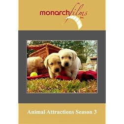 Animal Attractions Season 3 Episodes 1 thru 13