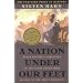 A Nation under Our Feet: Black Political Struggles in the Rural South from Slavery to the Great Migration