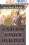 A Nation under Our Feet: Black Political Struggles in the Rural South from Slavery to the Great Migration