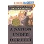 A Nation under Our Feet: Black Political Struggles in the Rural South from Slavery to the Great Migration