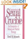 Constructing the Sexual Crucible: An Integration of Sexual and Marital Therapy (Norton Professional Books)