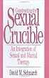 Constructing the Sexual Crucible: An Integration of Sexual and Marital Therapy (Norton professional books)