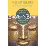 Buddha's Brain: The Practical Neuroscience of Happiness, Love, and Wisdom