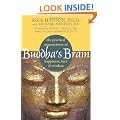 Buddha's Brain: The Practical Neuroscience of Happiness, Love, and Wisdom
