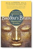 Buddha's Brain: The Practical Neuroscience of Happiness, Love, and Wisdom