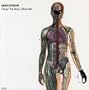 I Sing! The Body Cybernetic [Vinyl]